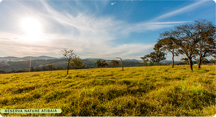 Reserva Nature Atibaia