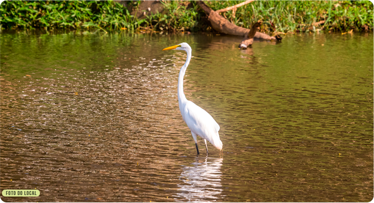 Reserva Nature Atibaia