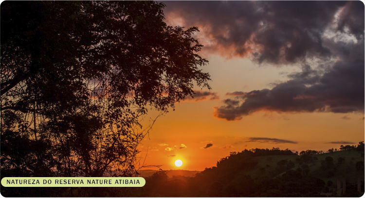 Reserva Nature Atibaia